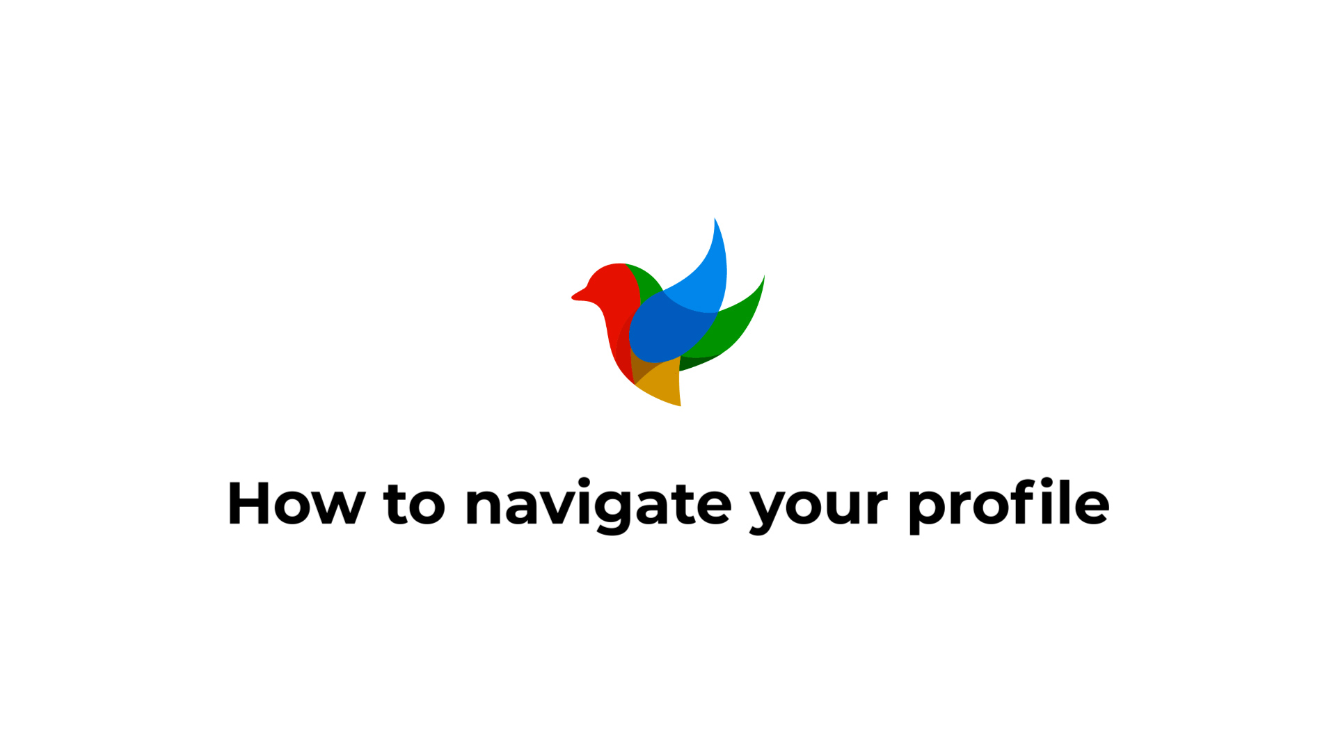How to Navigate your Profile
